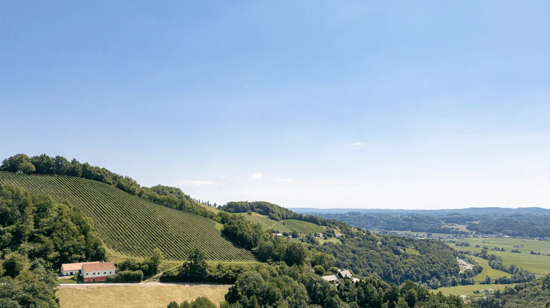 Weite Landschaft mit Weinbergen, einem Haus und klarem Himmel, ideal für Natur- und Weinliebhaber.